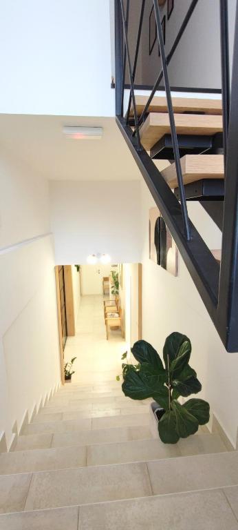 a hallway with stairs and a plant on the floor at Cozy Rooms Luna - Home Gym in Zadar