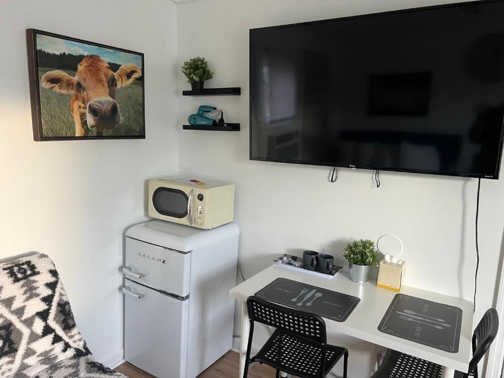 TV a/nebo společenská místnost v ubytování Cobmin Ridge Motel