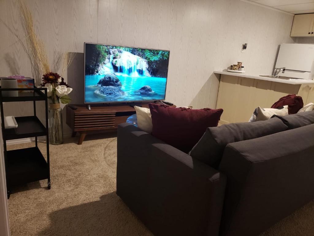 a living room with a couch and a flat screen tv at Choose, 1of 2 entire! appart- 1BR-1sofa bed king size-free prkg- at Mohawk college city of falls in Hamilton