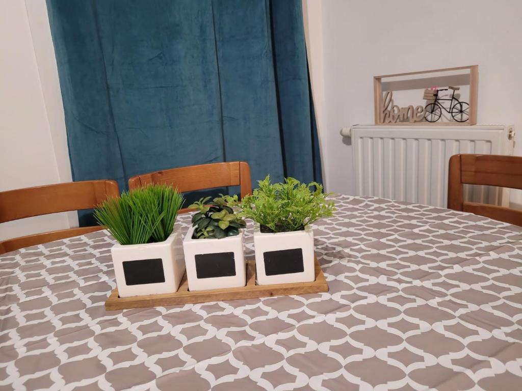 zwei Topfpflanzen auf einem Tisch in der Unterkunft Boissy Gare RER A Appartement 1 à 3 chambres au choix in Boissy-Saint-Léger