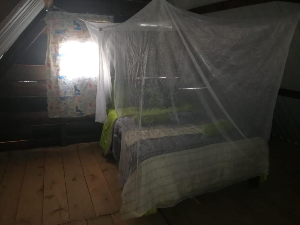 Farm Lodge La Cabaña - Double Room With Shared Bathroom