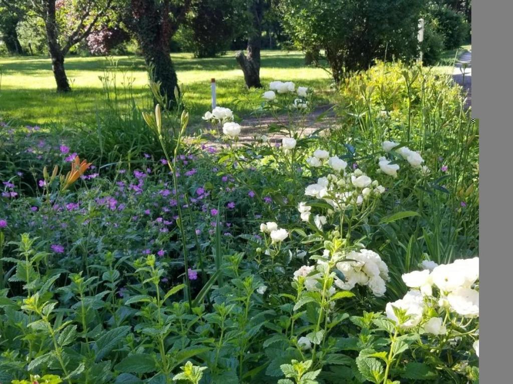 Fotografia z galérie ubytovania Ressourcez-vous dans cette ferme avec cheminée, jardin, terrasse couverte et équipements modernes - FR-1-489-435 v destinácii Gouise