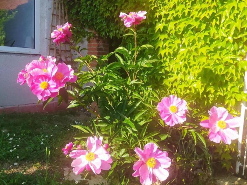 Fotografia z galérie ubytovania Ressourcez-vous dans cette ferme avec cheminée, jardin, terrasse couverte et équipements modernes - FR-1-489-435 v destinácii Gouise
