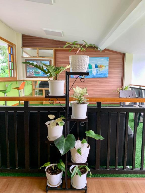 Fotografie z fotogalerie ubytování Sunshine Stay Panglao v destinaci Panglao