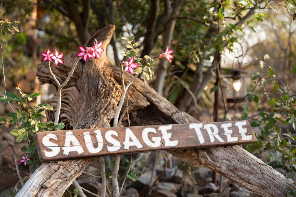 a sign that says savage fire on a tree at Sausage Tree Safari Camp in Balule Game Reserve