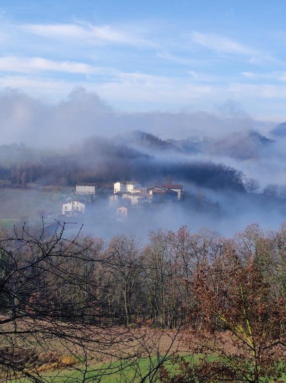 Przyroda w pobliżu tego obiektu B&B