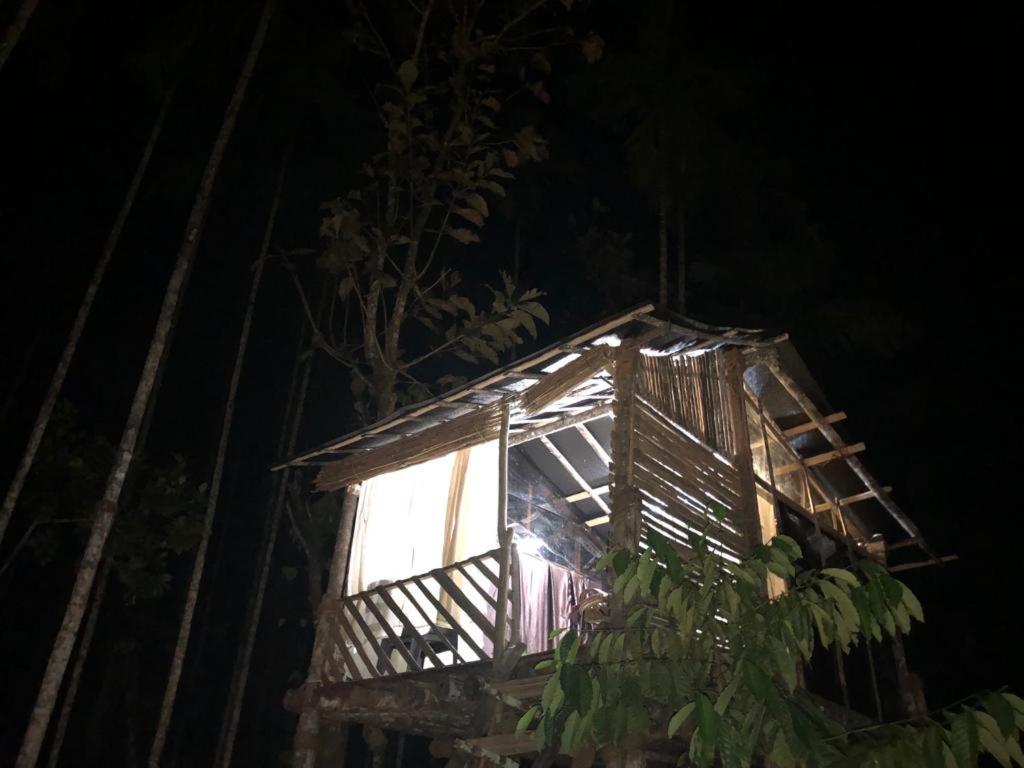 a tree house at night with a light in it at Lotus Jewel Forest Camping in Sultan Bathery
