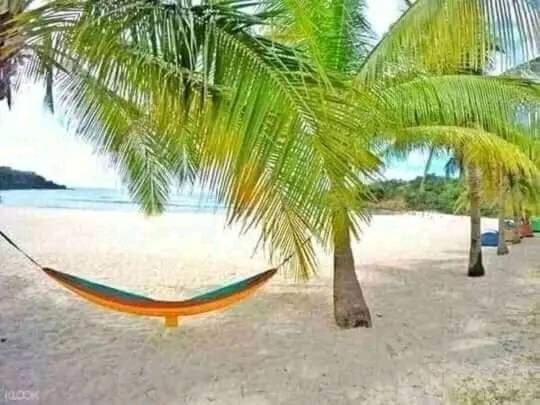 a hammock under two palm trees on a beach at NaturesWay/TRAVELCORON in Coron