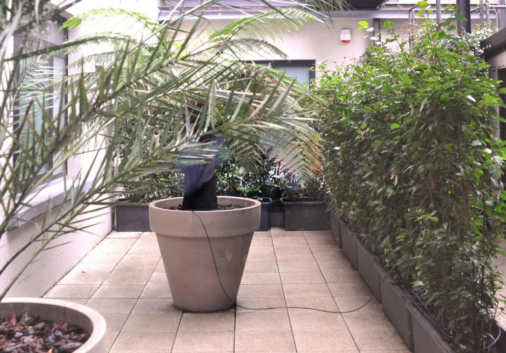 Een tuin van Oasi Village Hotel