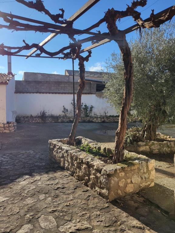 Vonkajšia záhrada v ubytovaní Casas rurales CASA DEL CERRO
