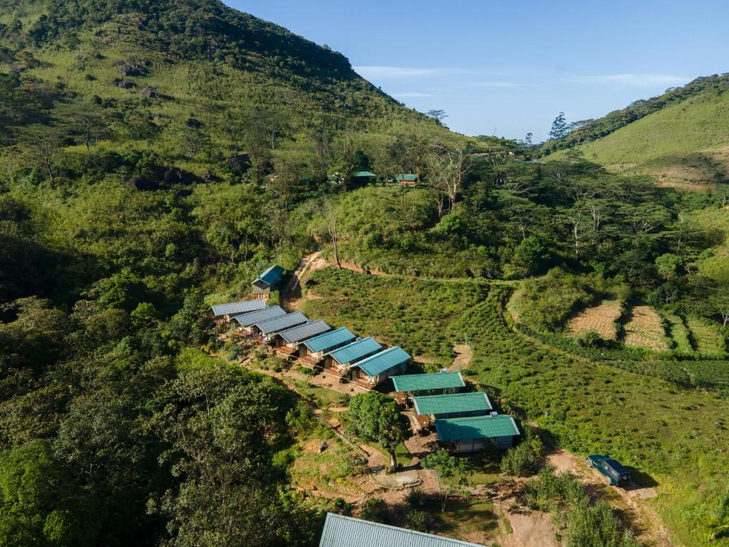an aerial view of a hill with a bunch of trees at Wild Glamping Knuckles - Thema Collection in Rangala