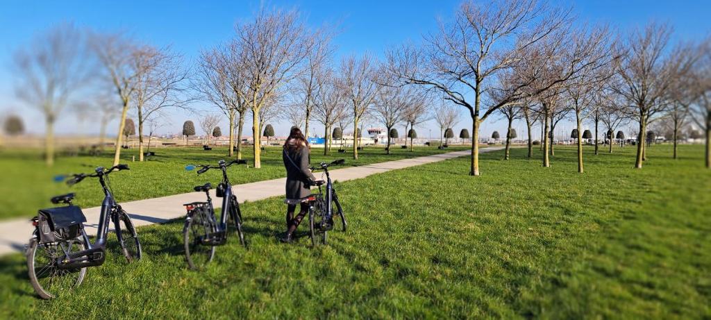 Zahrada ubytování The Newport Lodge - incl 3h Wellness & use Ebikes & breakfast
