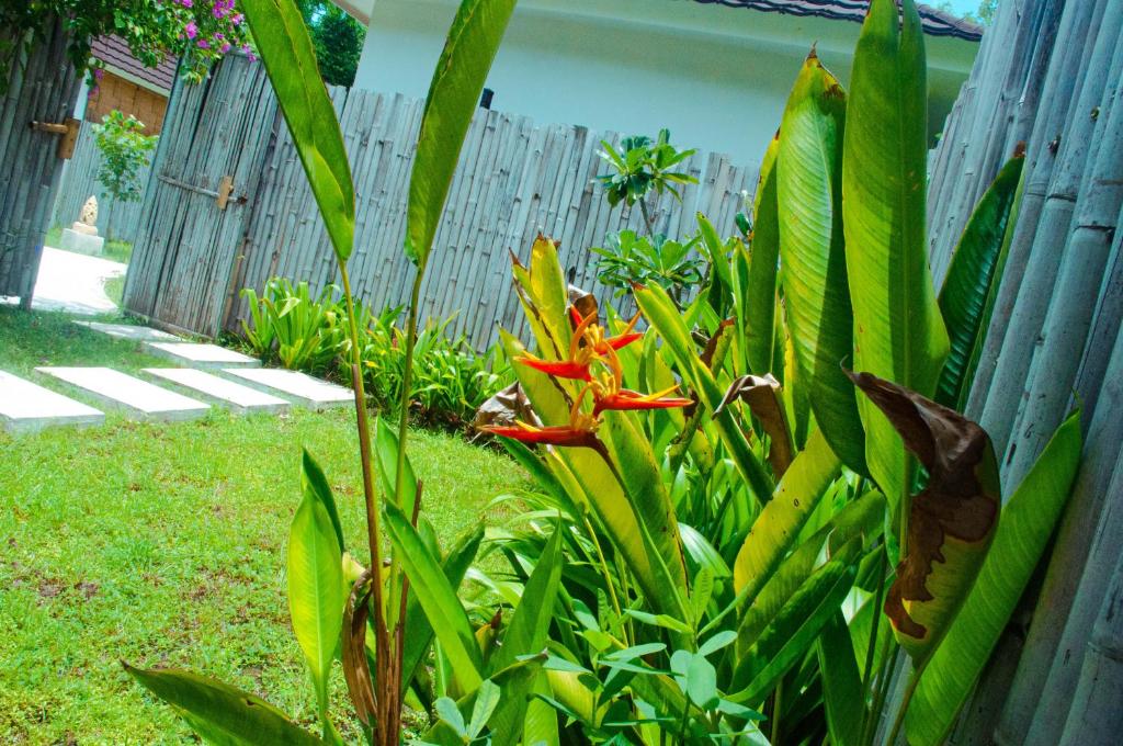 Villa Samalas Resort and Restaurant - 10