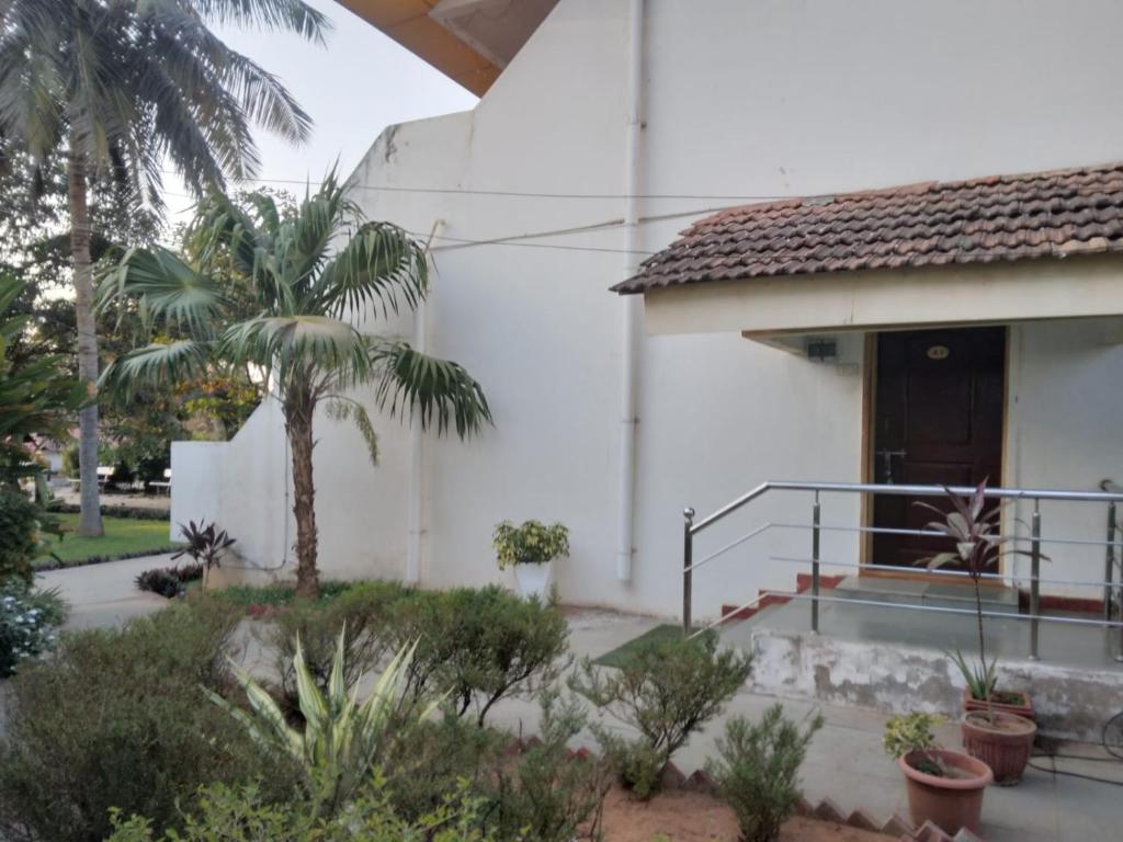 a white house with a door and a palm tree at Calangute Residency in Calangute