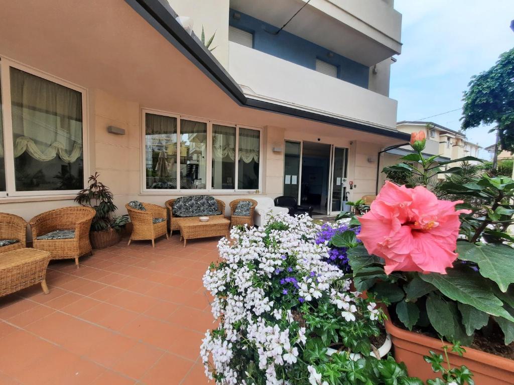 Zahrada ubytování Hotel Ricchi
