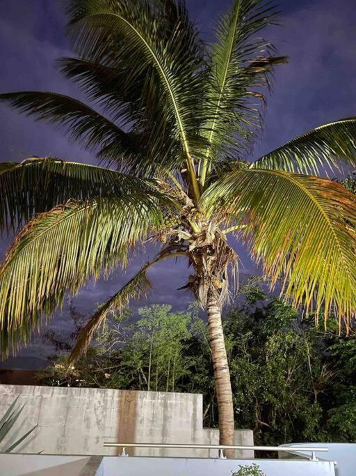 Zdjęcie z galerii obiektu Cocooning Terre Sainte classé par Tourisme Réunion w mieście Saint-Pierre
