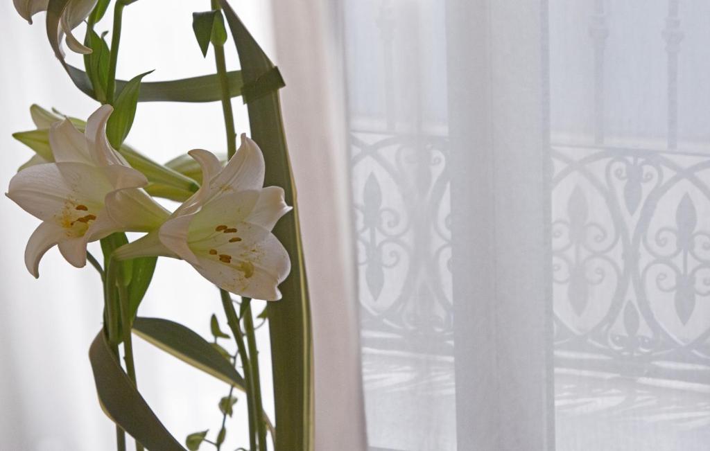 Hospes Amérigo, Alicante, a Member of Design Hotels - Resim 37