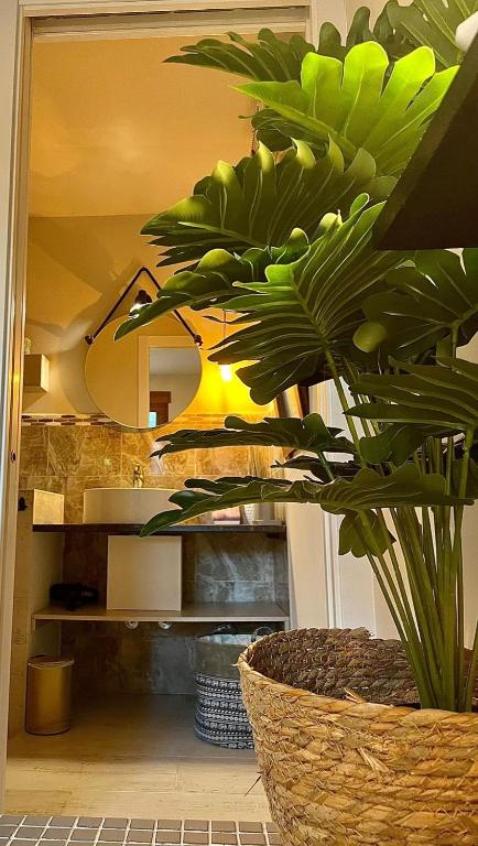 a large plant in a basket in a room at Casa Francesca Altea piscina y aparcamiento privado in Altea