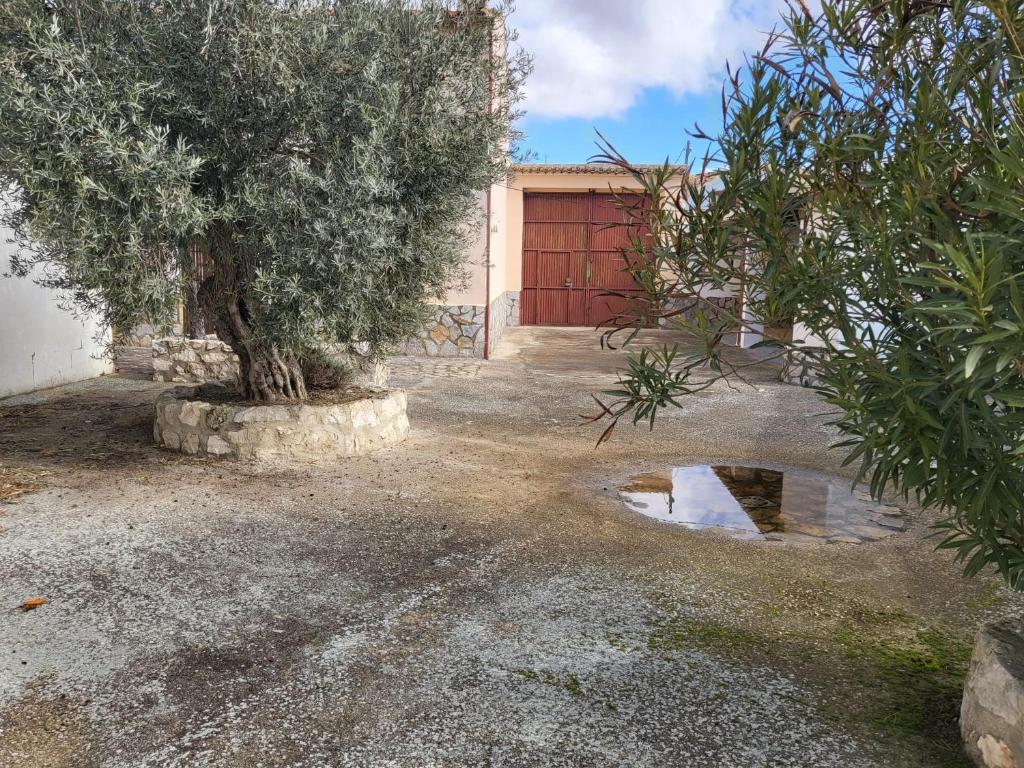 Vonkajšia záhrada v ubytovaní Casas rurales CASA DEL CERRO