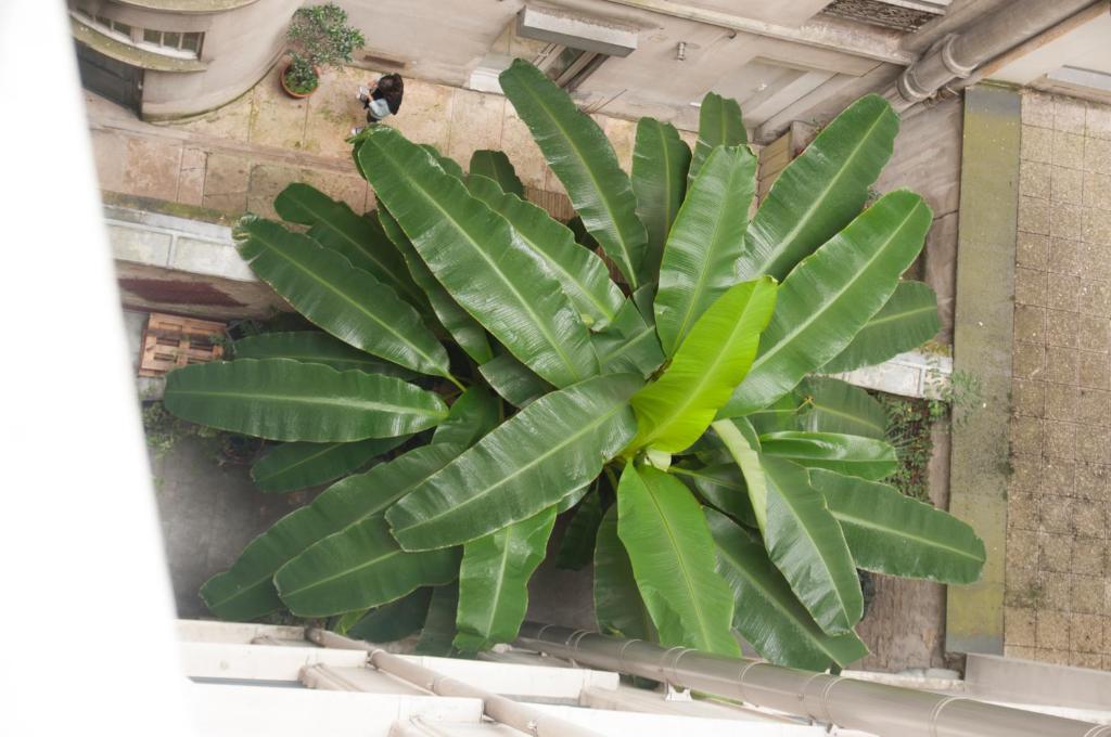 Grand Hôtel Malher - Resim 40