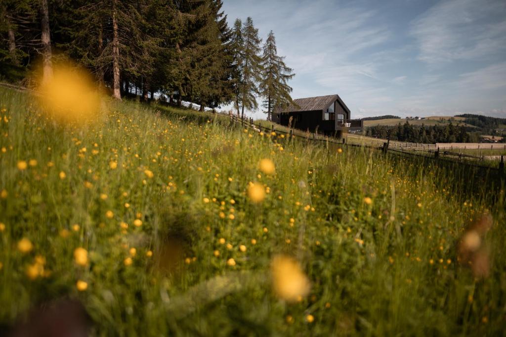 Paesaggio naturale nelle vicinanze dell'hotel
