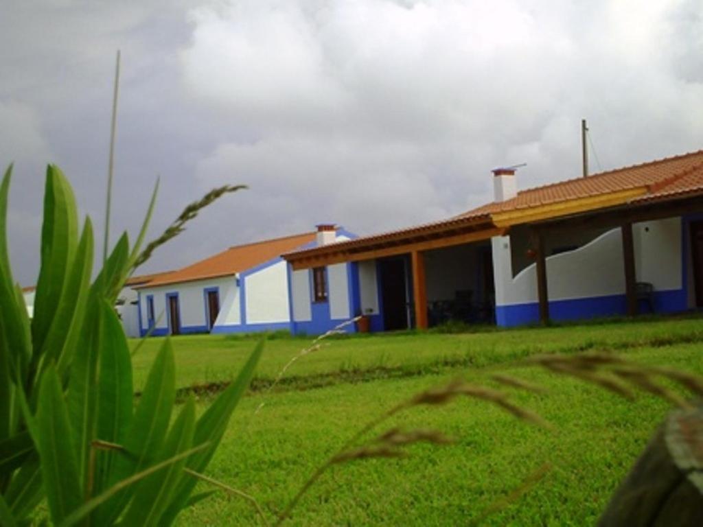 una fila de casas en un campo de hierba en Monte Da Baía Do Tonel, en Zambujeira do Mar