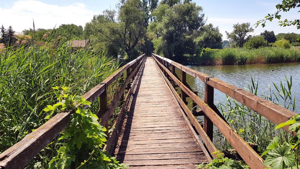 Príroda v okolí dovolenkového domu