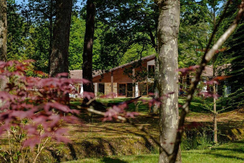 eine Blockhütte im Wald mit Bäumen in der Unterkunft Parc de L'Aiguade in Saint-Paul-lès-Dax