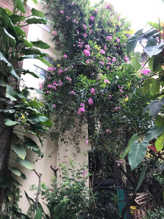 Zahrada ubytování Best Price Hồ Tây Villa Rooms with Garden & Pool for Long Stay