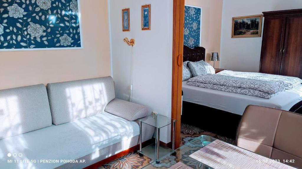Penzion Pohoda - apartmány - One-Bedroom Apartment
