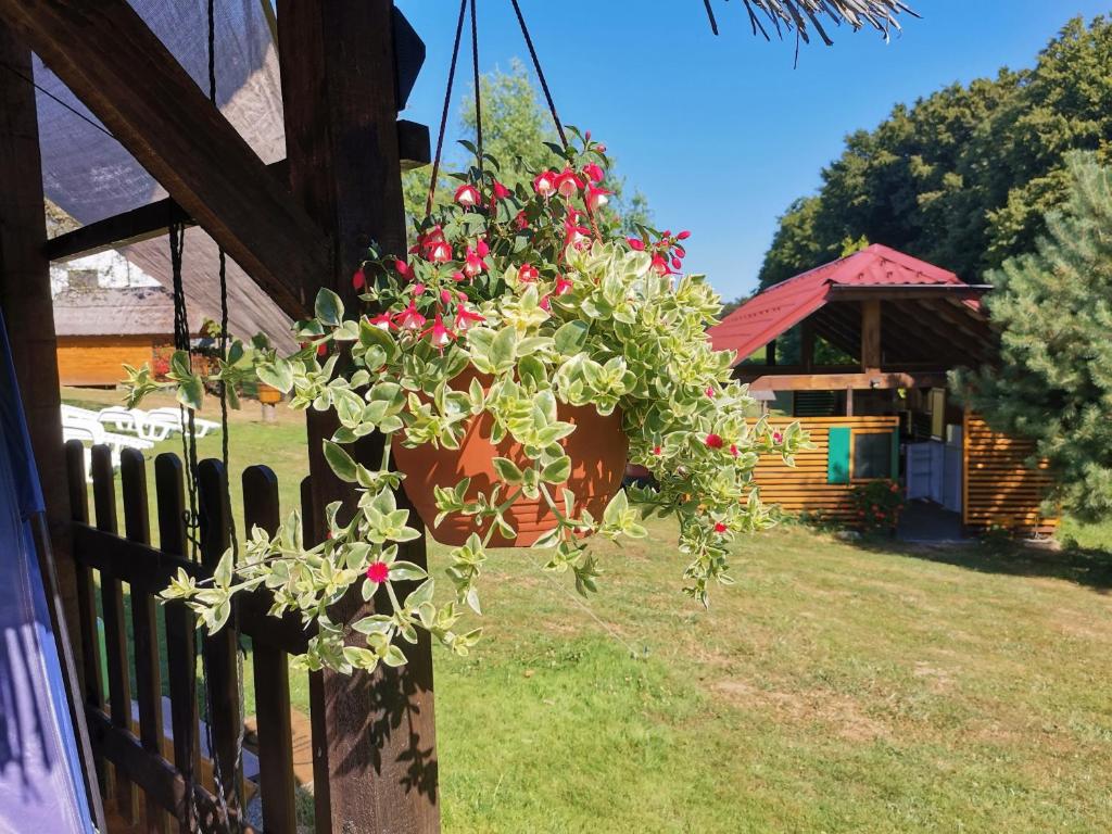 Giardino di Camping Silva