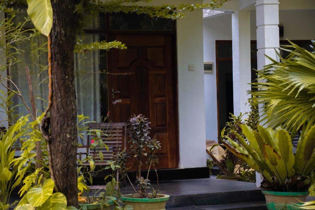 Zahrada ubytování Freedom Home Stay
