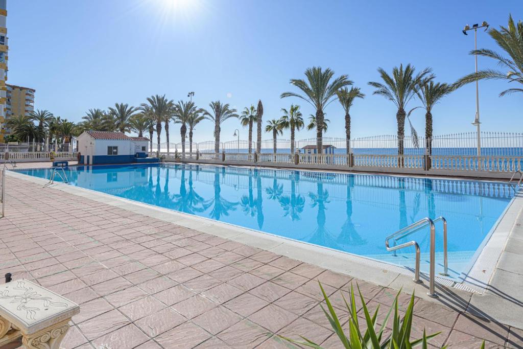 une grande piscine avec des palmiers et l'océan dans l'établissement Algarrobo Costa, à Algarrobo-Costa