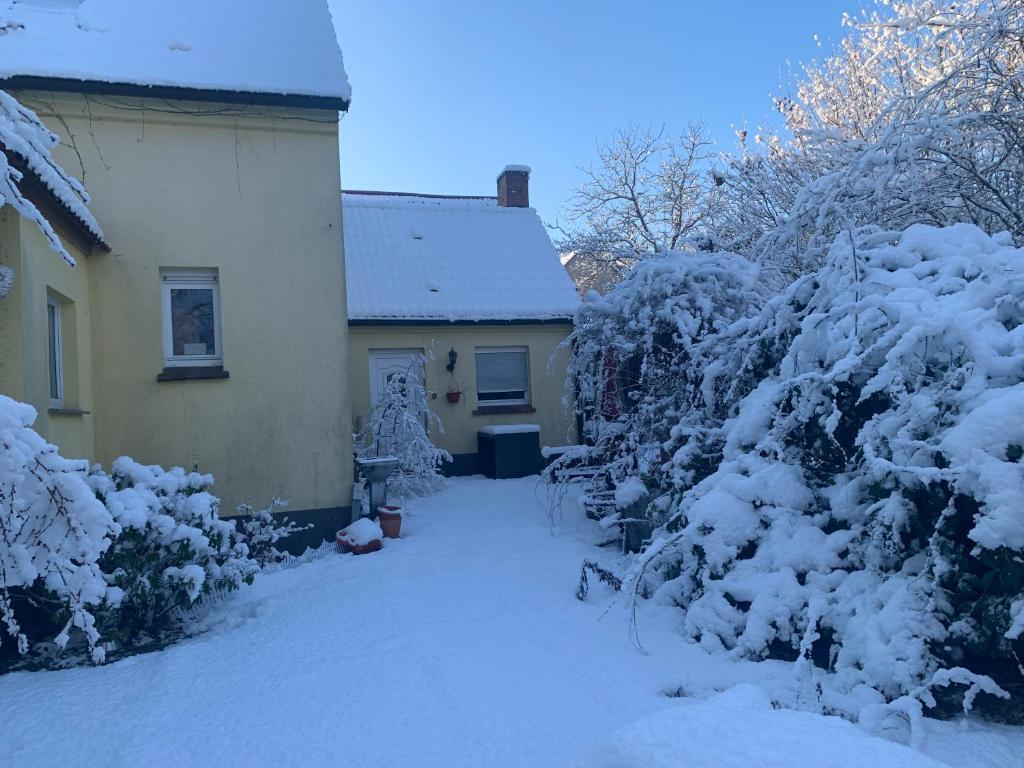 uma casa coberta de neve ao lado de uma casa em Oase der Ruhe em Heideblick