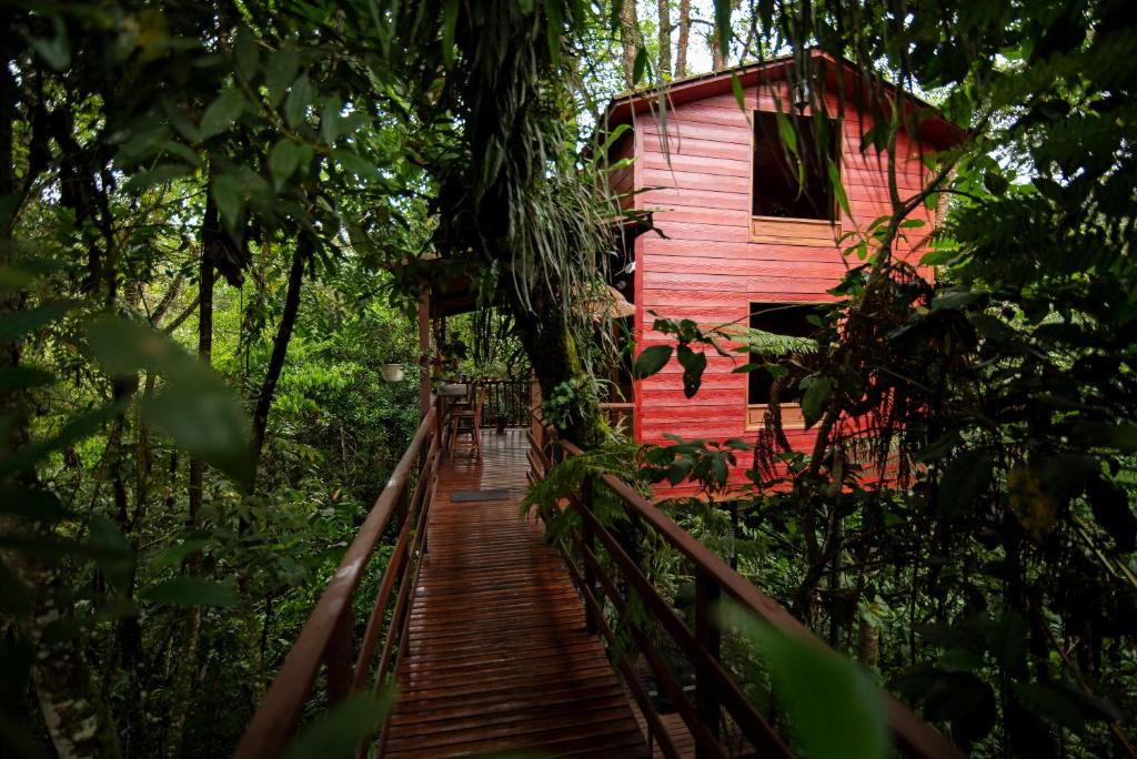 Zahrada ubytování Tominejo Ecolodge - Casas en los árboles