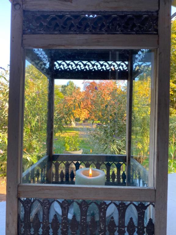 Fotografie z fotogalerie ubytování Apartment mit romantischem Garten an der Märchenstraße! v destinaci Reinhardshagen
