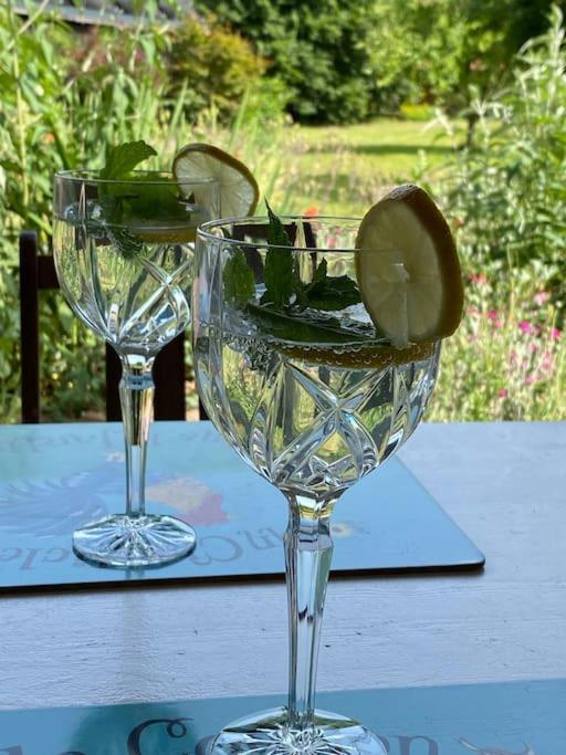 two wine glasses with a lime on top of a table at Apartment mit romantischem Garten an der Märchenstraße! in Reinhardshagen
