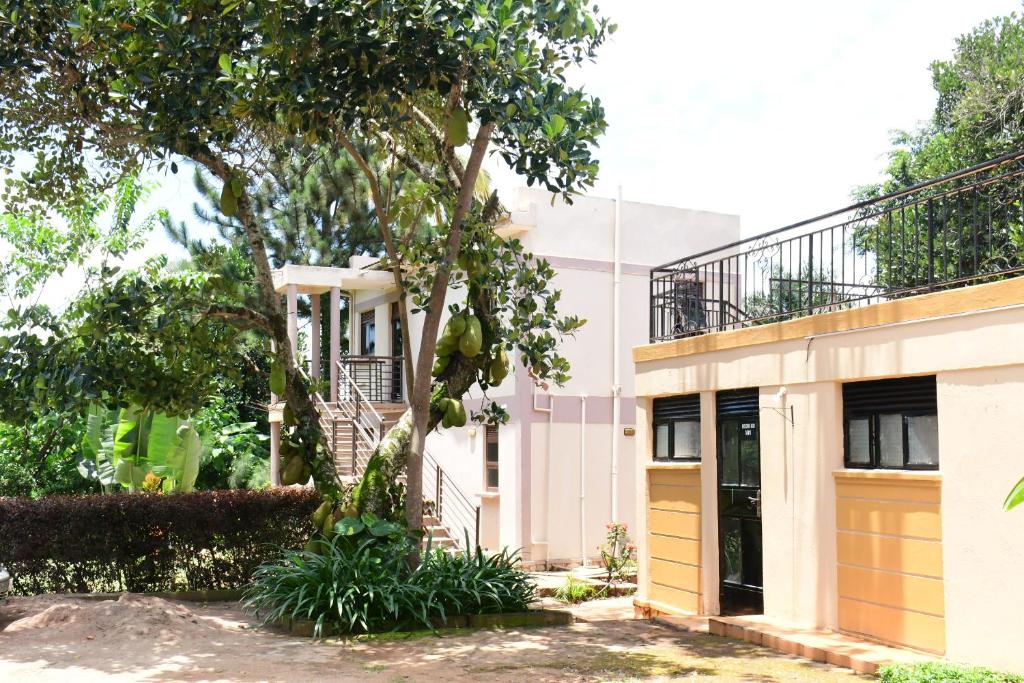 a house with a tree in front of a building at Golden Cherries Guest House in Jinja
