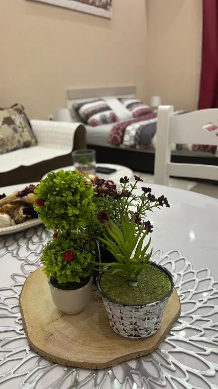 Apartment Downtown - 11