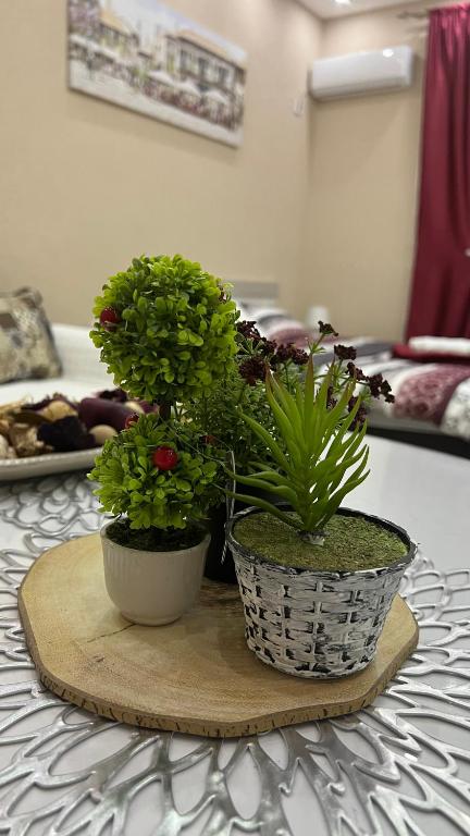 Apartment Downtown - 12