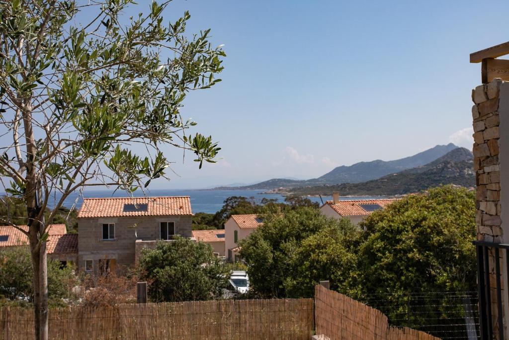 Příroda nedaleko apartmánu