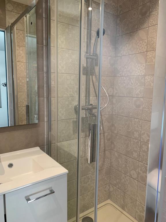 La salle de bains est pourvue d'une douche et d'un lavabo. dans l'établissement Le JOËL appartement F1 de 21 m², à Choisey