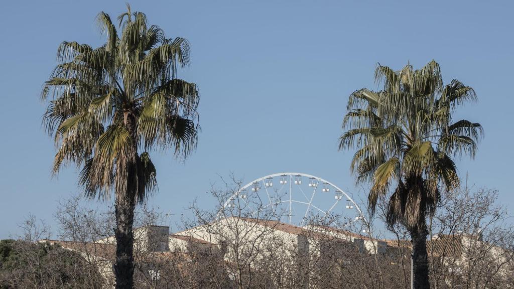Fotografia z galérie ubytovania Le Cosmos - 15C - Appart spacieux- 4 pers v destinácii Cap d'Agde