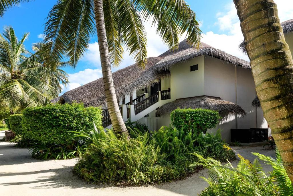 Sheraton Maldives Full Moon Resort & Spa - 9