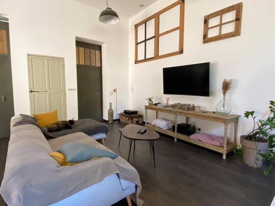 sala de estar con 2 camas y TV de pantalla plana en Maison 3 chambres cour/bassin, en Pernes-les-Fontaines