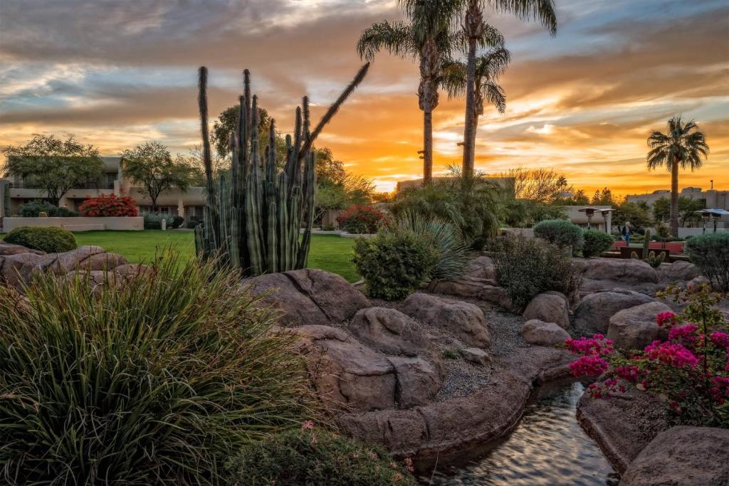 Zahrada ubytování JW Marriott Scottsdale Camelback Inn Resort & Spa