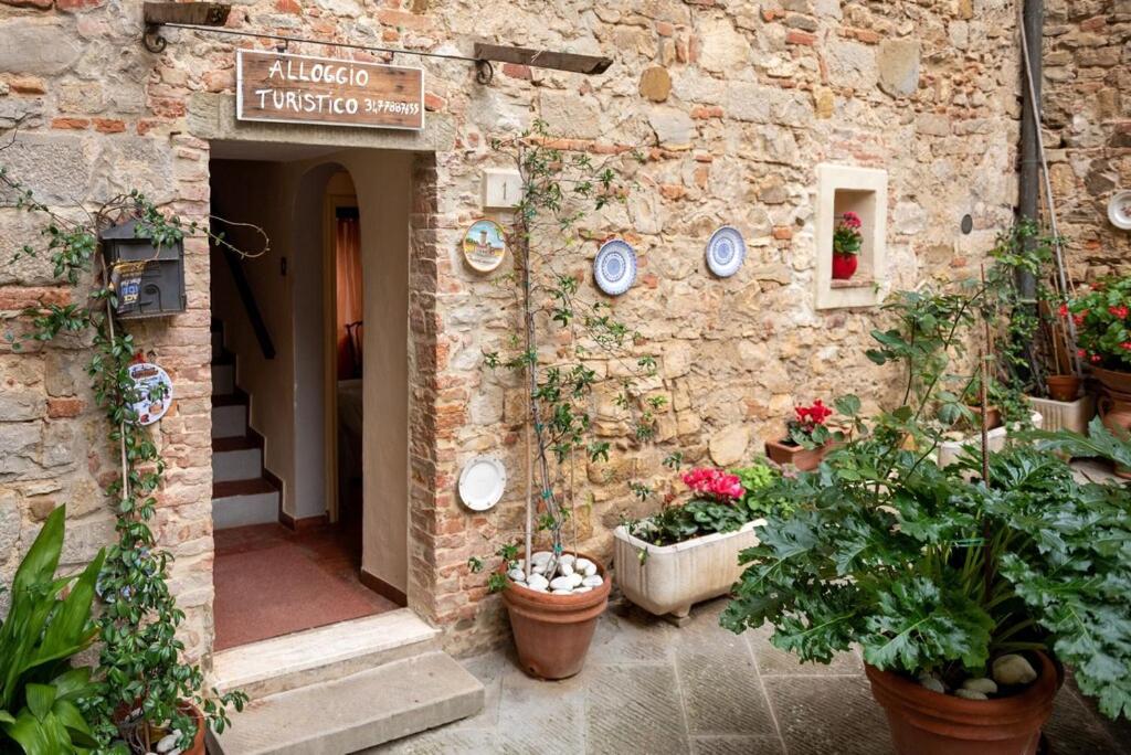 Zahrada ubytování Casa Vacanza Lucignano
