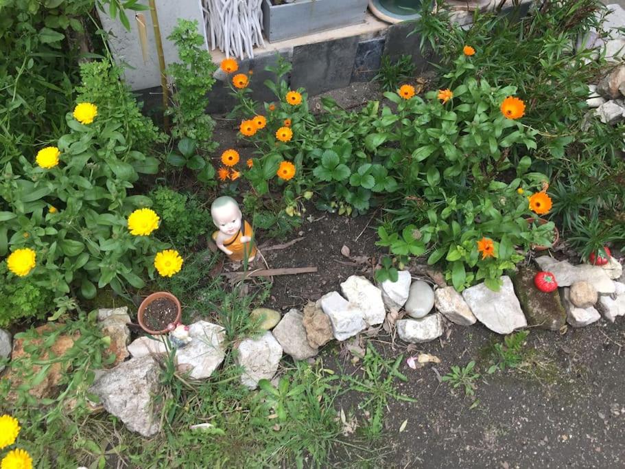 Fotografia z galérie ubytovania Maison douce et atypique avec son jardin à Tours v destinácii Tours