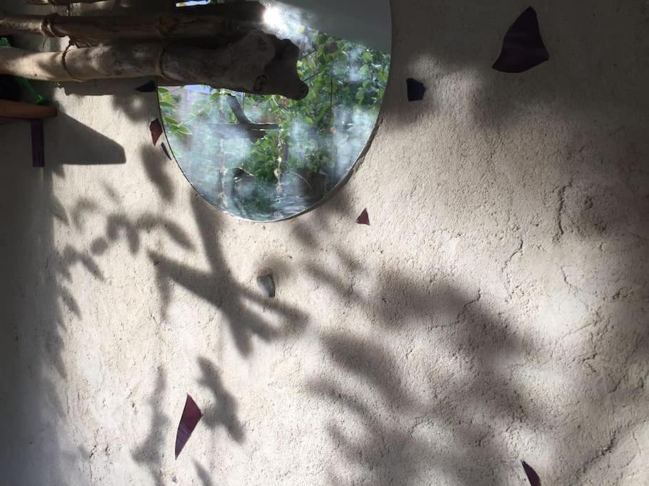 Fotografia z galérie ubytovania Maison douce et atypique avec son jardin à Tours v destinácii Tours