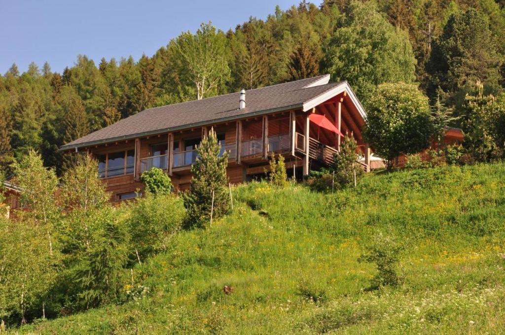 a house in the middle of a hill with trees at Modernes Chalet - Blue Merle in Vercorin